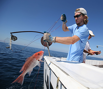 A fisheries scientist uses hook-and-line gear to reel a red snapper onto a research vessel in the Gulf of Mexico.